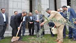 رئیس سازمان بازرسی یک اصله نهال غرس کرد/ تاکید دکتر خدائیان بر نظارت دقیق بر قوانین مرتبط با حفظ منابع طبیعی